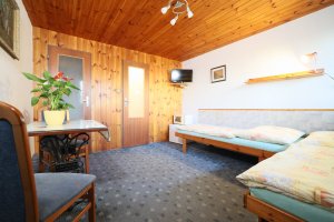 AAA Pension Dvořák Pavel