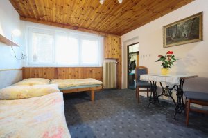 AAA Pension Dvořák Pavel