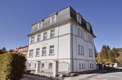 Villa Patriot Apartmány