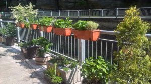 Apartmány Hřensko - Ubytování U Křiváků