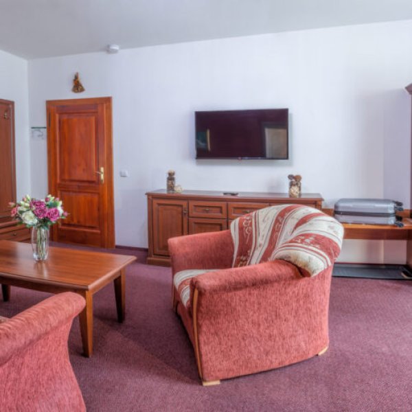 Apartmá bez kuchyně SUPERIOR