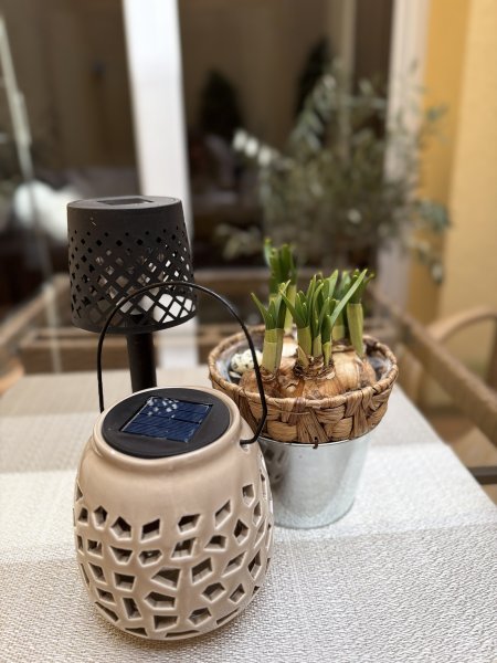 Apartmán v přízemí s postelí s nebesy