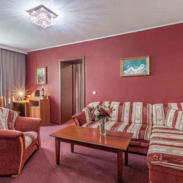 Apartmá bez kuchyně SUPERIOR