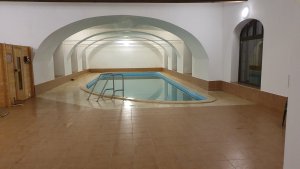 Holenský Dvůr, Ratiboř