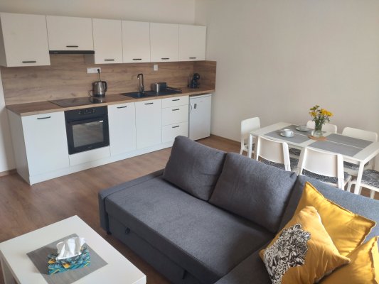 Apartmán Karlovice Jeseníky