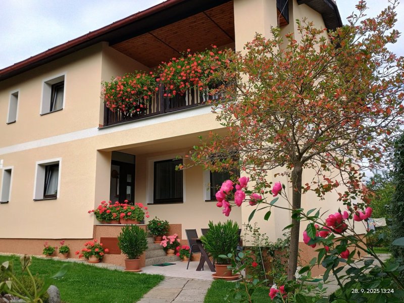 Hana Provazníková - Pension Lido