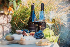 Ubytování Vinný sklep - Vinařství Tomanovi