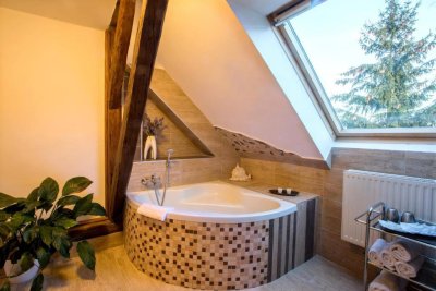 Wellness Hotel Kněžínek***