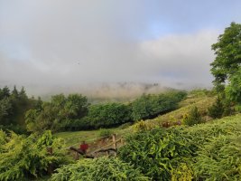 Čarodějnický dvůr