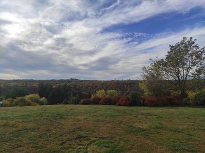 Čarodějnický dvůr