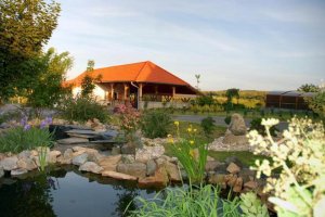 Čarodějnický dvůr