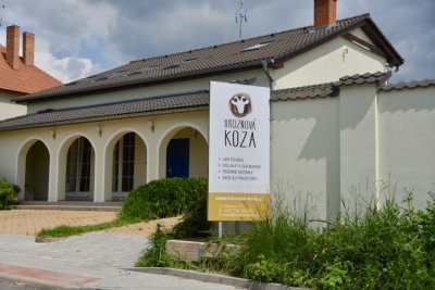 Vila Hroznová koza