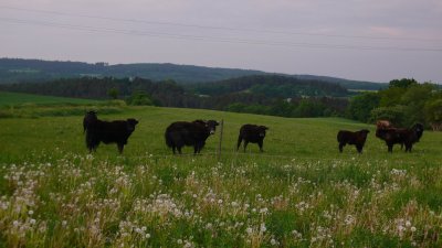 Penzion Padrtův mlýn