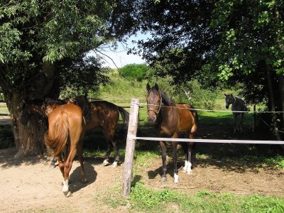 Penzion Padrtův mlýn