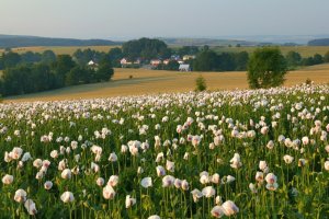 Penzion Na Vysočině