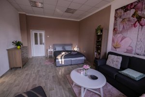 Ubytování v soukromí v Oáze klidu