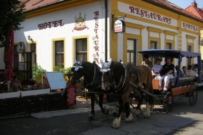 Hotel Koruna Karlštejn