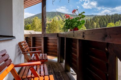 David Wellness Hotel