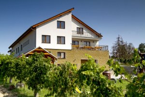 VINAŘSTVÍ A PENZION KNÁPEK STRACHOTÍN