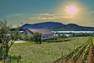 VINAŘSTVÍ A PENZION KNÁPEK STRACHOTÍN