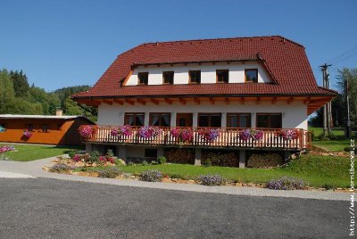 Penzion U přehrady a chatky