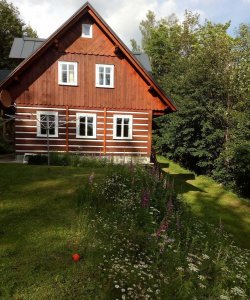 Apartmán mezi stromy