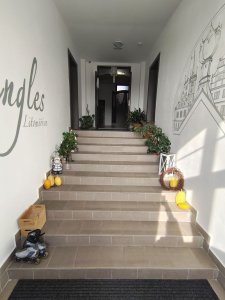 Vila Singles Apartments