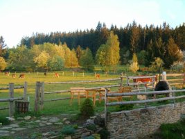 Volencovi ubytování - apartmány