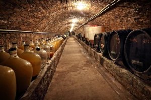 Penzion Šatovské lípy