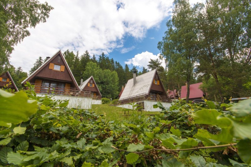 U starýho Růžičky&Lipenka