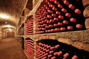 Penzion Šatovské lípy