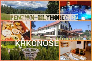 Pension Bílý Hořec