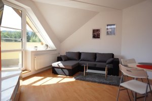 Apartmány Velké Losiny