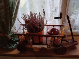 Ubytování u Mrázů Vyšovatka