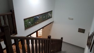 Club Rezidence Pod Lučí