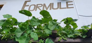 Hotel Formule