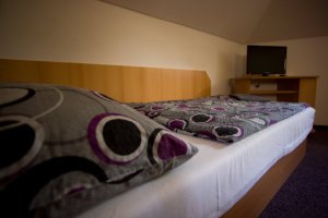 Penzion Vosí Hnízdo