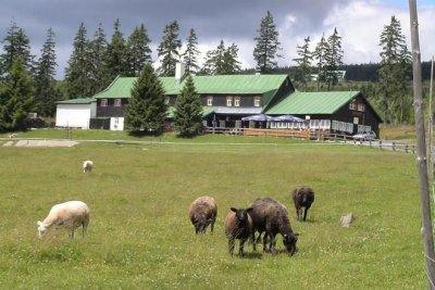 Horský hotel Lesní Bouda