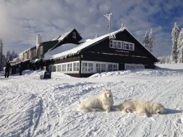 Horský hotel Lesní Bouda