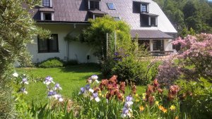 Dům U ospalého heligónu