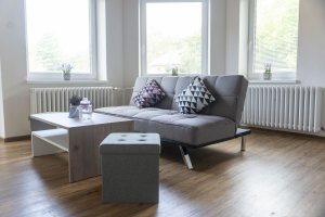 Apartmán u Větrníku