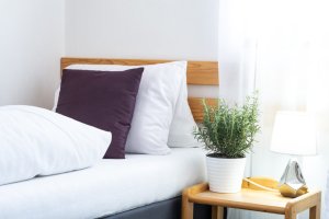 Restaurace a penzion U Hasičů