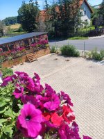 Ubytování Chomutov