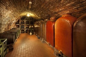 Penzion U Bilkovičů