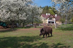 Ubytování na Cimbále