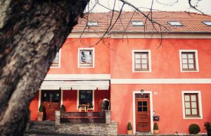 Cafe - Pizza Pod Kostelem