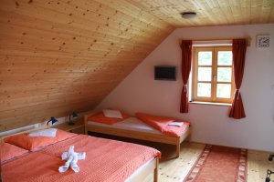 U Dřevaře - Penzion Česká Kanada chalupa