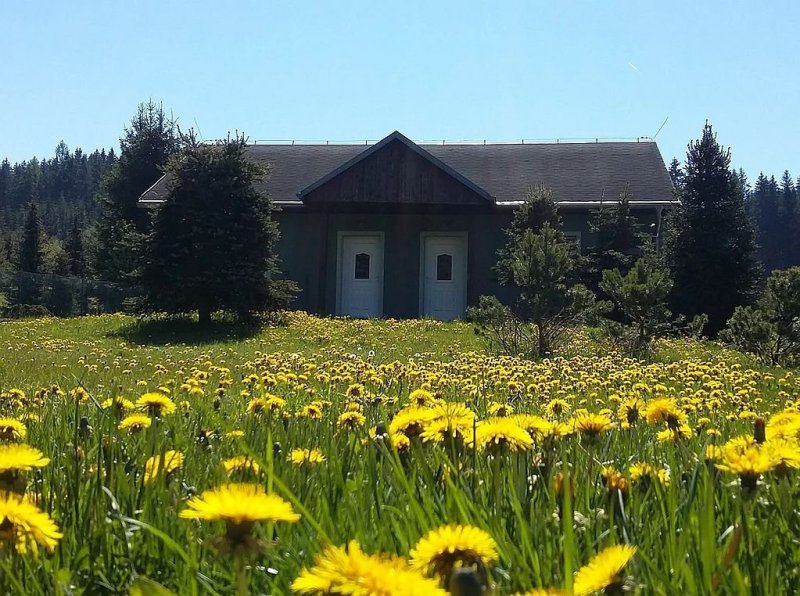 Apartmány Potůčky