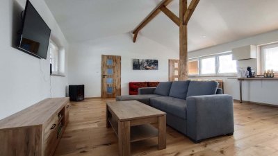 Apartmán Mikulčice 418