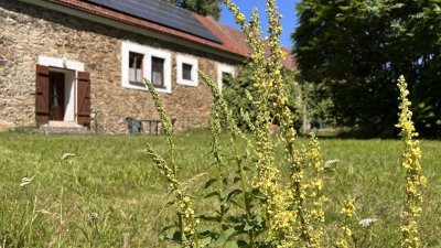 Venkovské apartmány u Jindřichova Hradce 